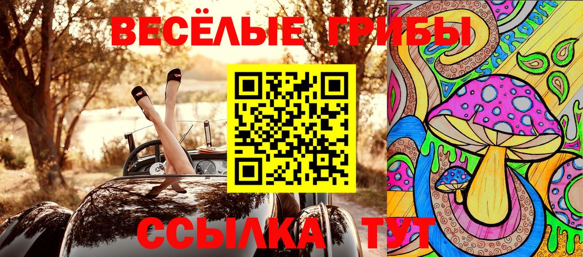 Галлюциногенные грибы GOLDEN TEACHER Шелехов